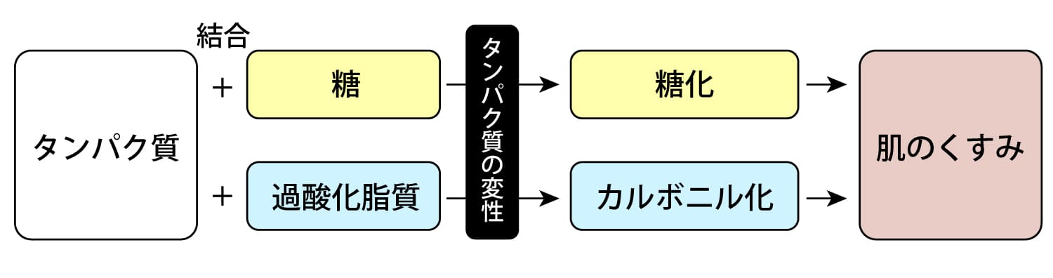 zetithロングラスティング_糖化_カルボニル化