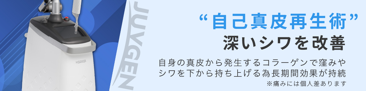ジュブゼン画像