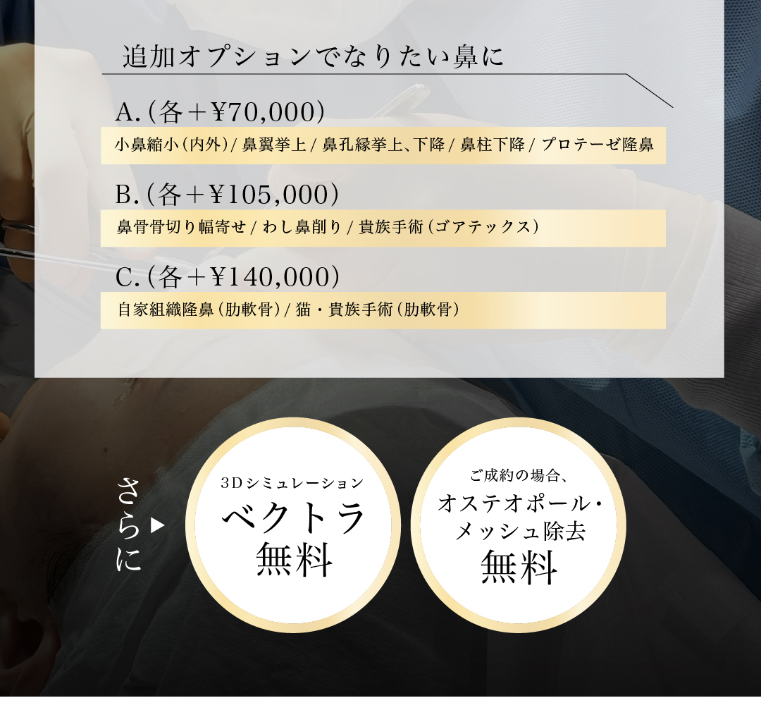  追加オプションでなりたい鼻に さらに 3Dシミュレーション ベクトラ 無料 オステオポール除去 メッシュ除去 無料